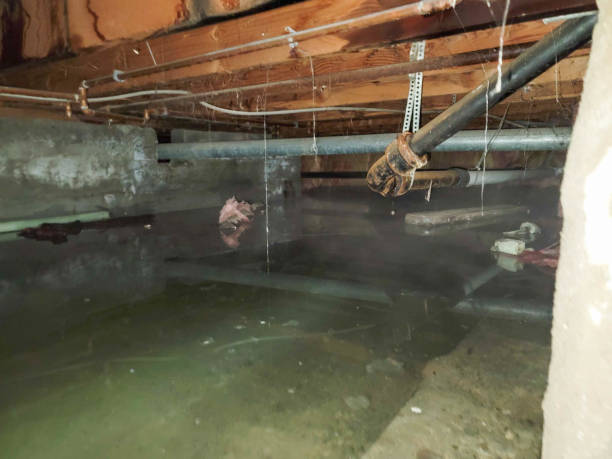 Best Water damage restoration process  in USA